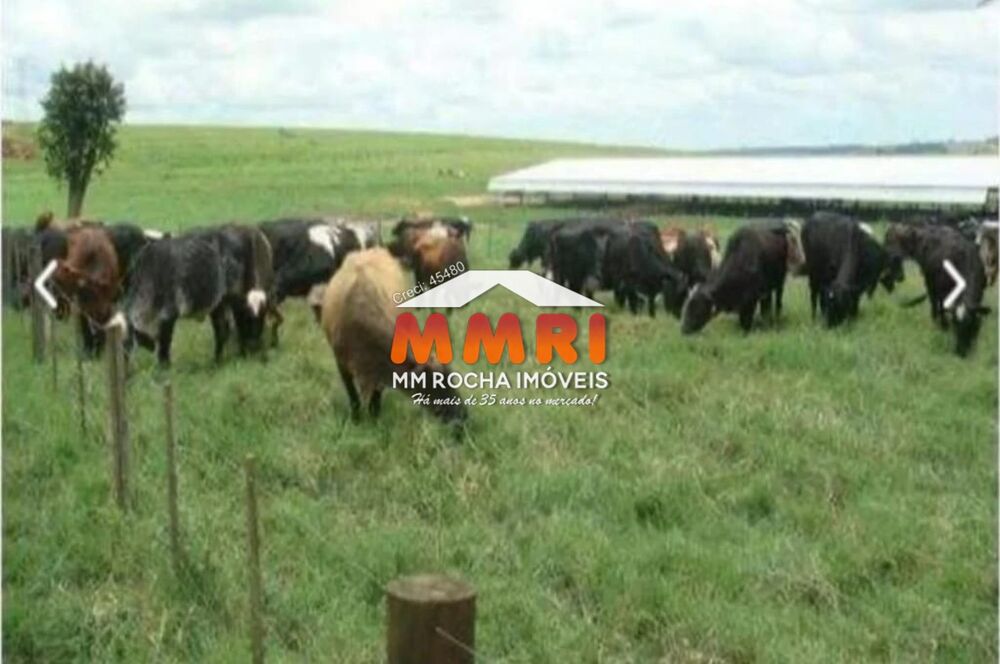 Fazenda, 163 m² - Foto 5