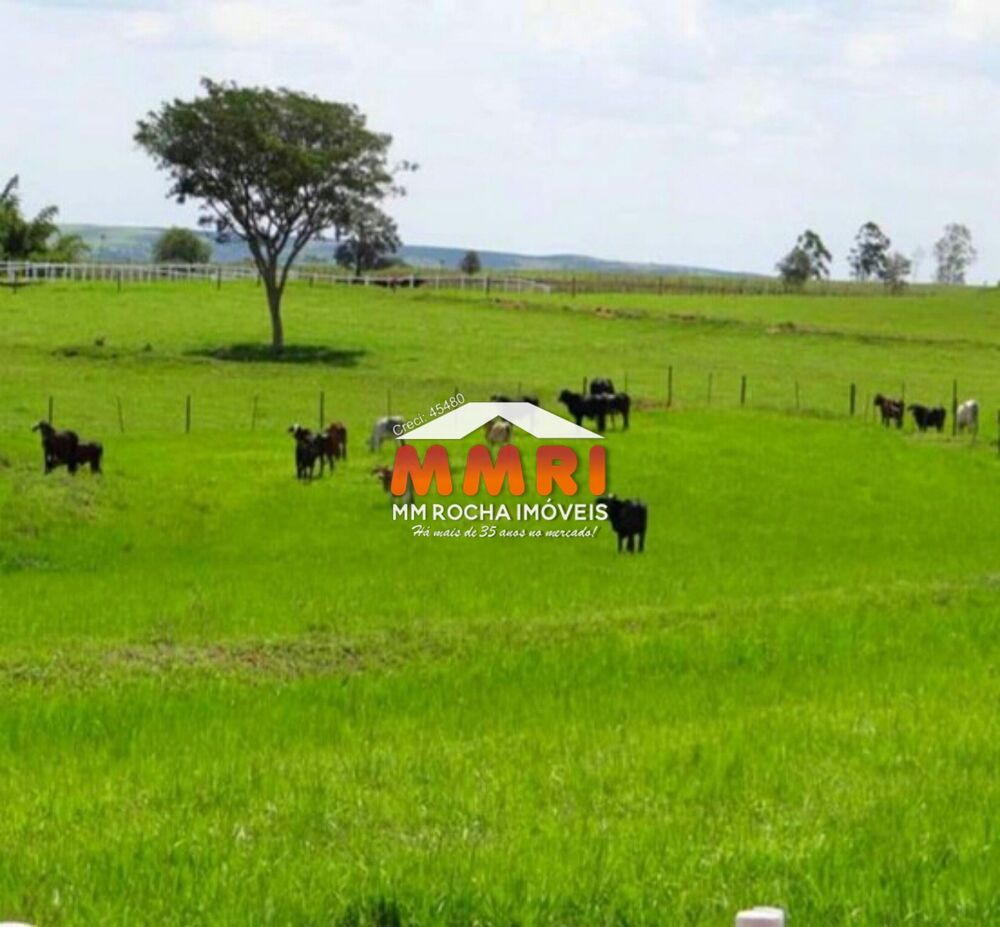 Fazenda, 163 m² - Foto 6