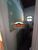 Chácara, 3 quartos - Foto 2