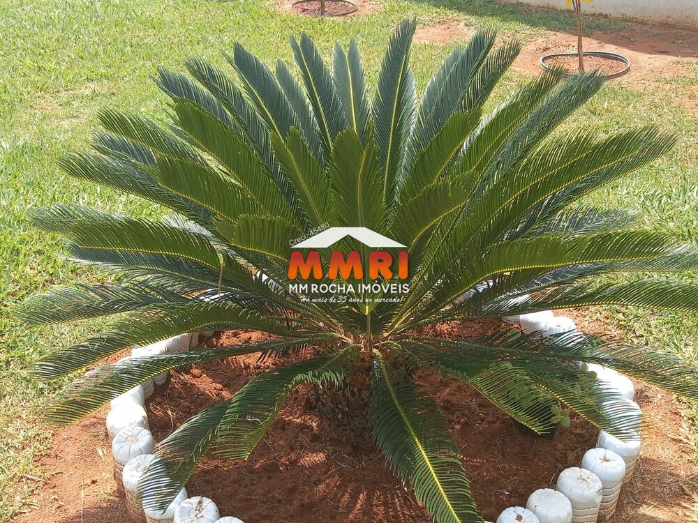 Chácara, 3 quartos, 1500 m² - Foto 21