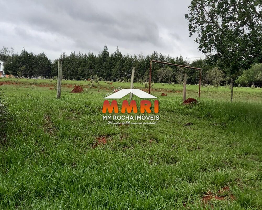 Sítio, 5 hectares - Foto 6