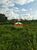 Fazenda, 2 hectares - Foto 1