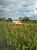 Fazenda, 2 hectares - Foto 4