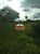 Fazenda, 2 hectares - Foto 2