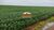 Fazenda-Sítio-Chácara, 4 hectares - Foto 6