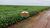 Fazenda-Sítio-Chácara, 4 hectares - Foto 1