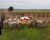 Fazenda-Sítio-Chácara, 911 m² - Foto 1