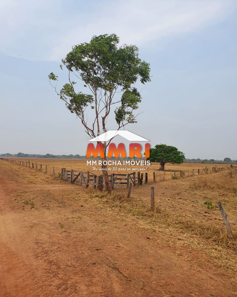 Fazenda, 6 hectares - Foto 2