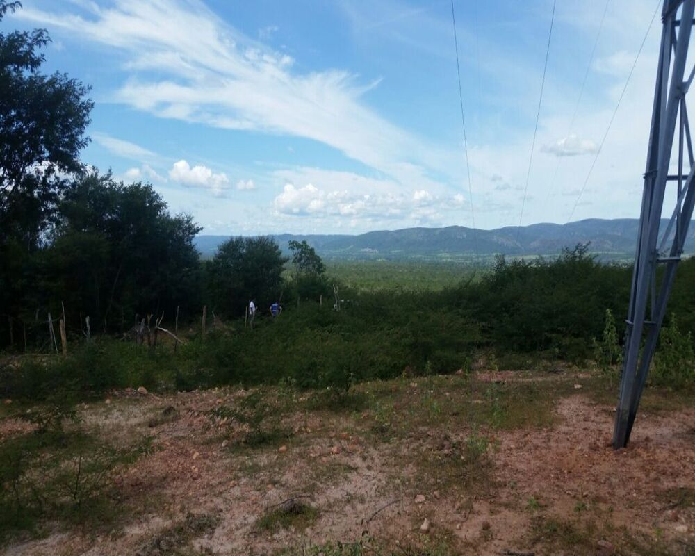 Fazenda, 10 hectares - Foto 2