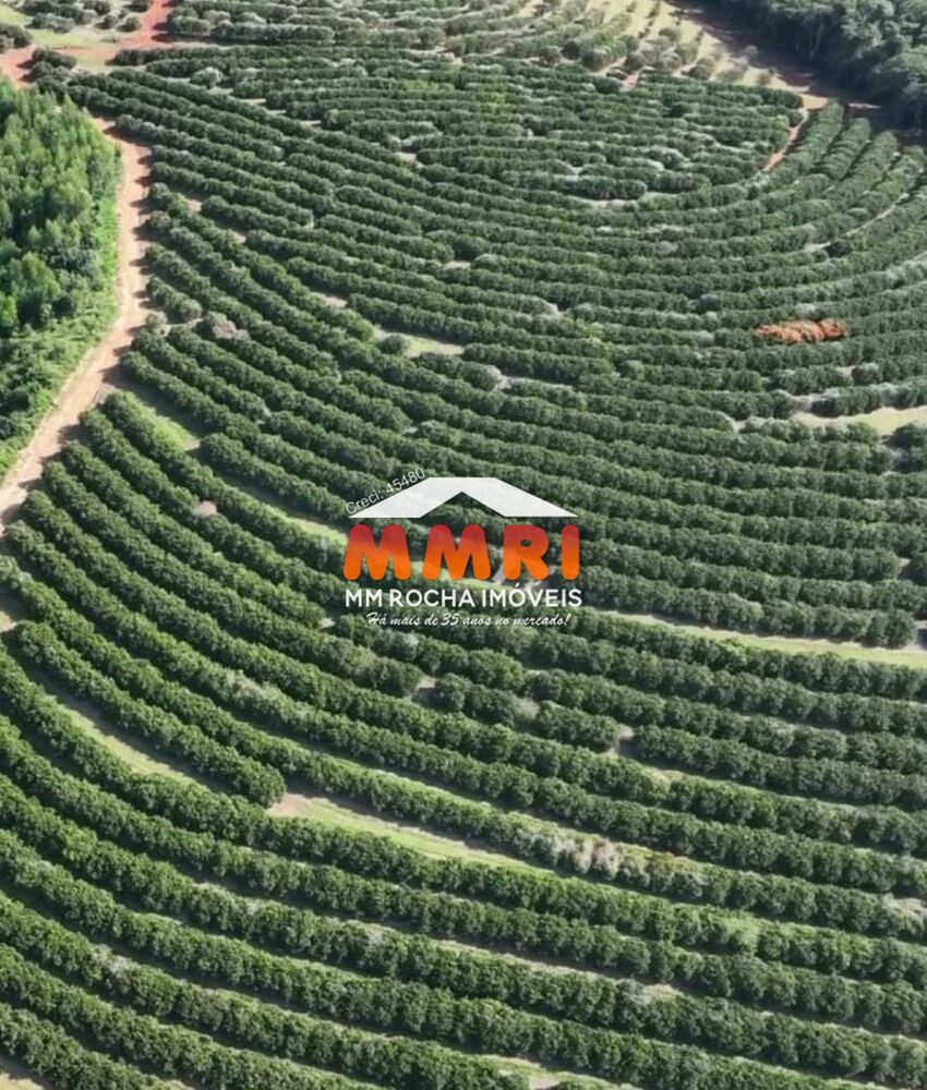 Fazenda, 170 m² - Foto 3