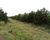 Terreno, 9 m² - Foto 2