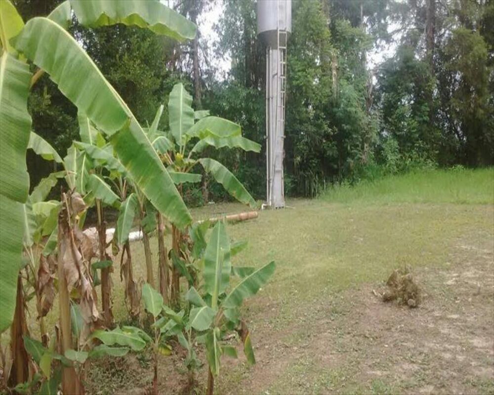 Sítio, 2 quartos, 7 hectares - Foto 3