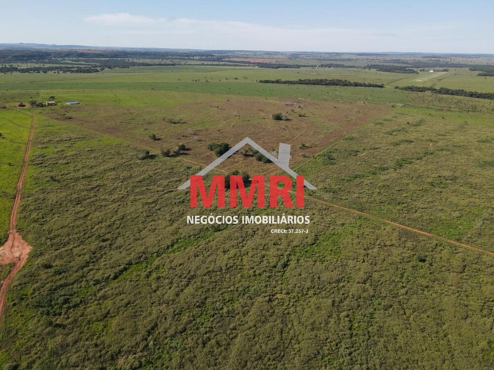 Fazenda à venda com 1 quarto, 7377m² - Foto 3