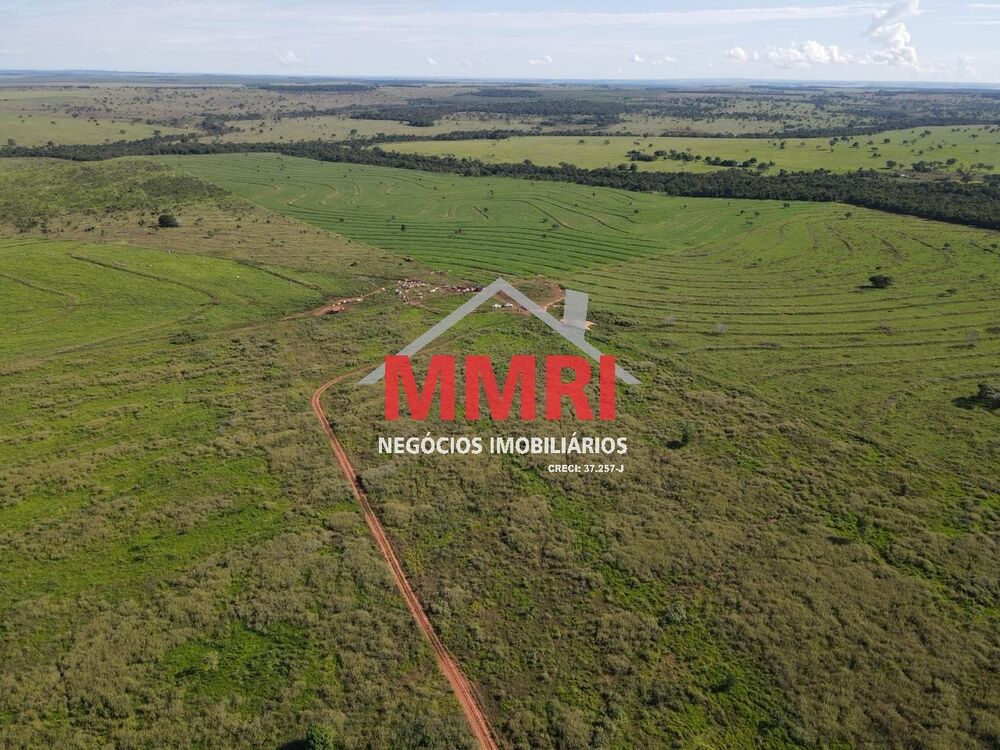 Fazenda à venda com 1 quarto, 7377m² - Foto 13