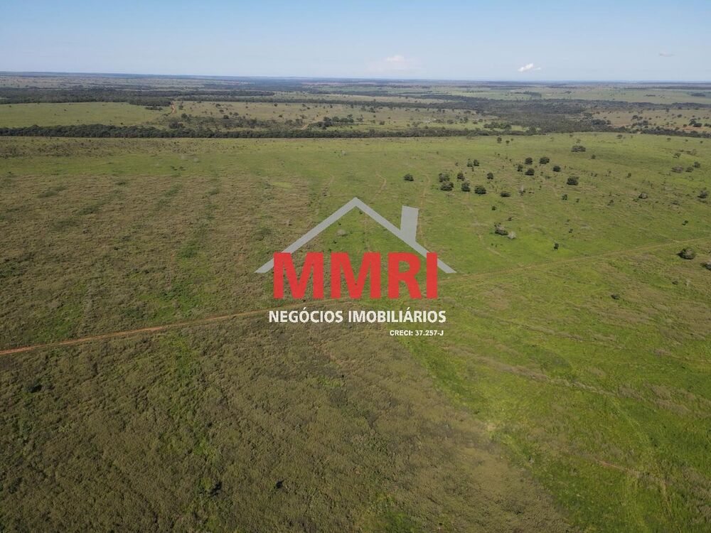 Fazenda à venda com 1 quarto, 7377m² - Foto 5