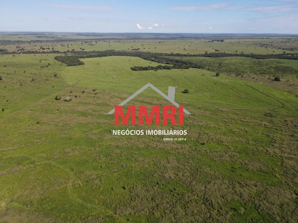 Fazenda à venda com 1 quarto, 7377m² - Foto 6