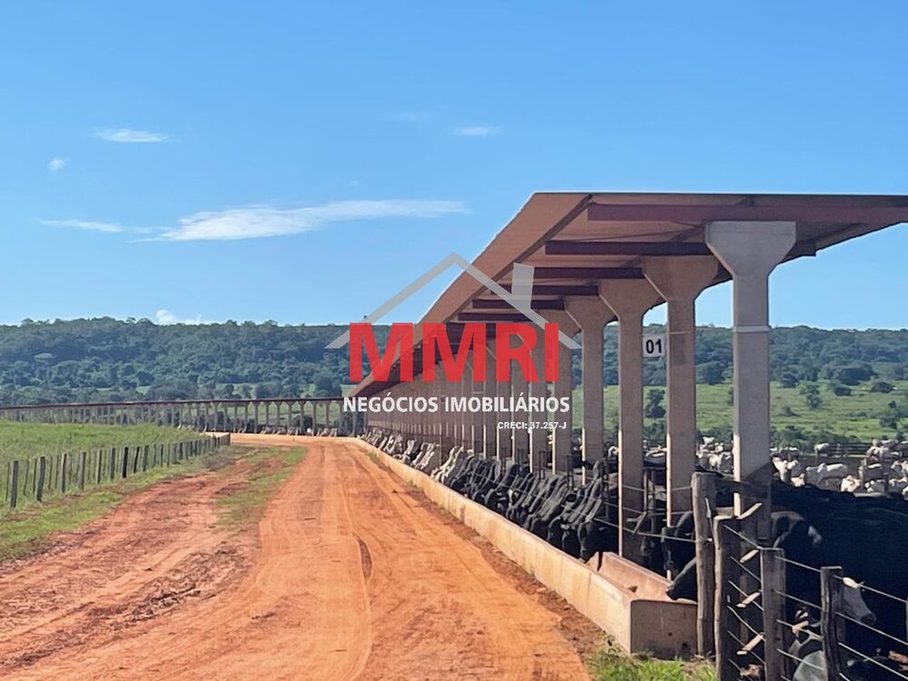 Fazenda à venda com 1 quarto, 7377m² - Foto 14