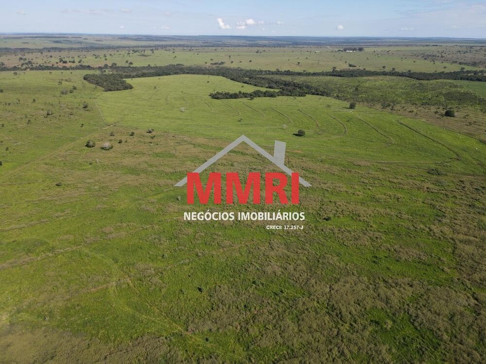 Fazenda à venda com 1 quarto, 7377m² - Foto 12
