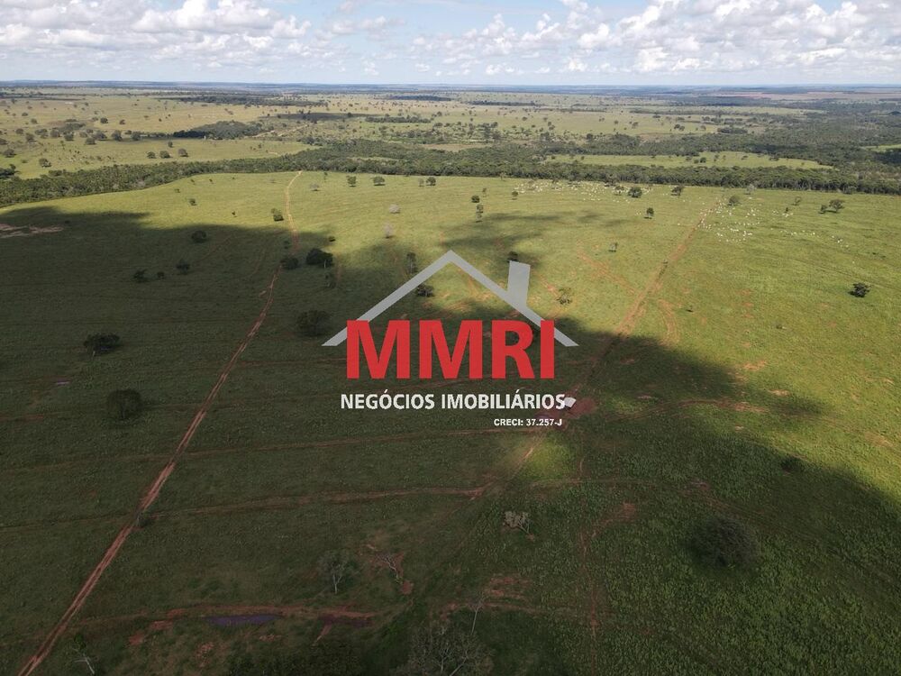 Fazenda à venda com 1 quarto, 7377m² - Foto 16