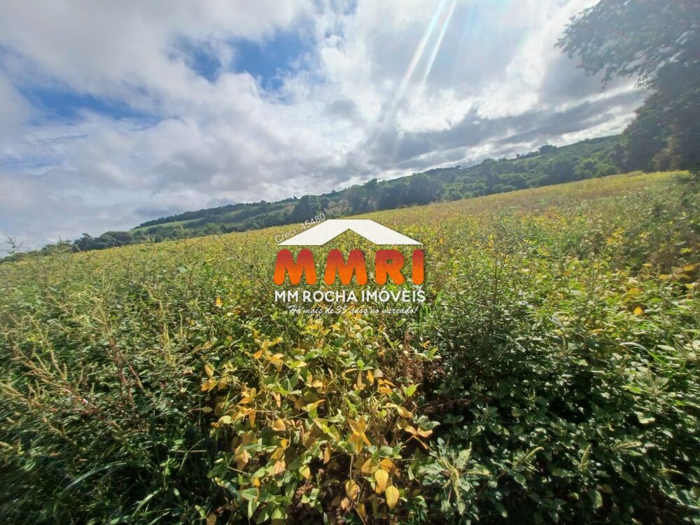 Sítio, 4 quartos - Foto 11