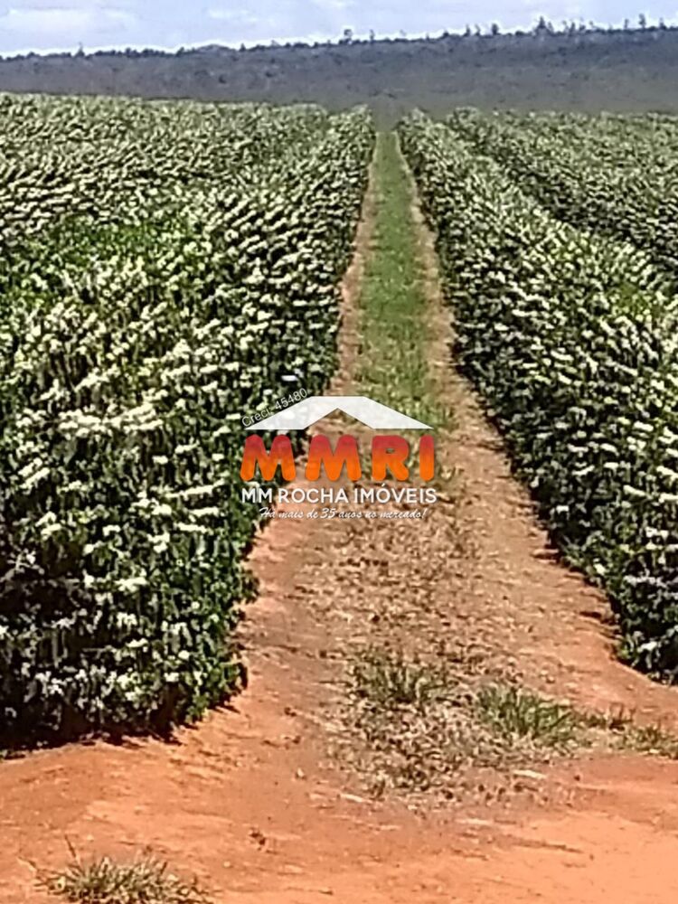 Fazenda, 1300 m² - Foto 4