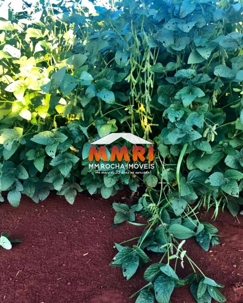 Fazenda, 336 m² - Foto 1