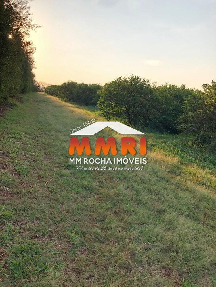 Fazenda, 953 m² - Foto 4