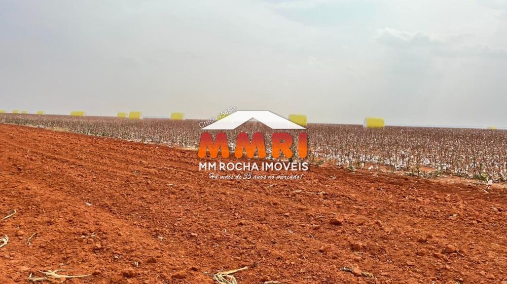 Fazenda, 2 hectares - Foto 14