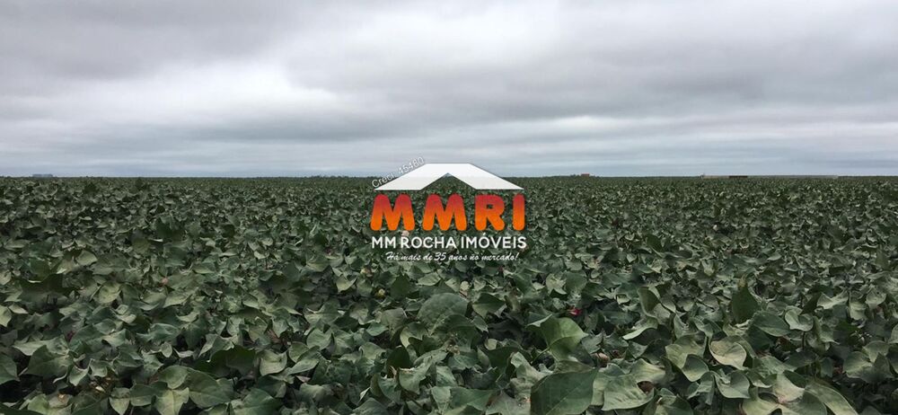 Fazenda, 2 hectares - Foto 40