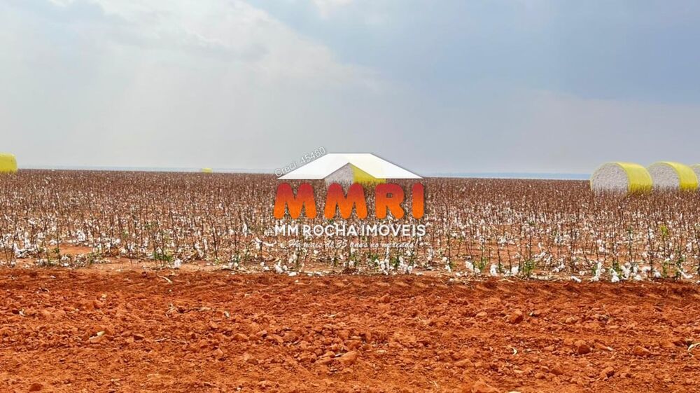 Fazenda, 2 hectares - Foto 22