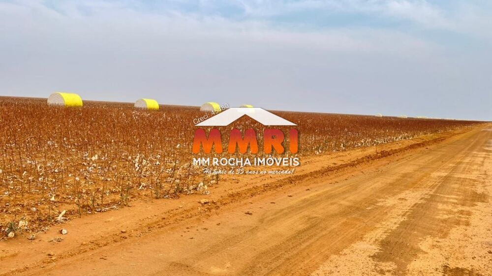 Fazenda, 2 hectares - Foto 30