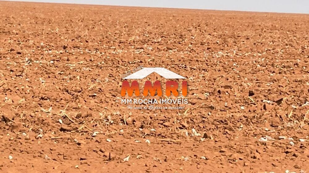 Fazenda, 2 hectares - Foto 11