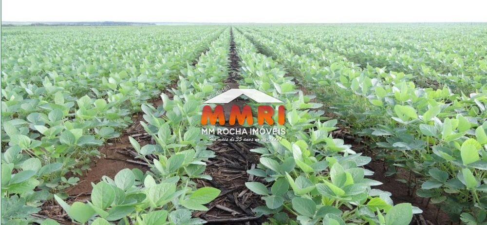 Fazenda, 2 hectares - Foto 38