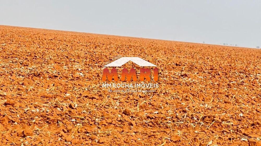 Fazenda, 2 hectares - Foto 8