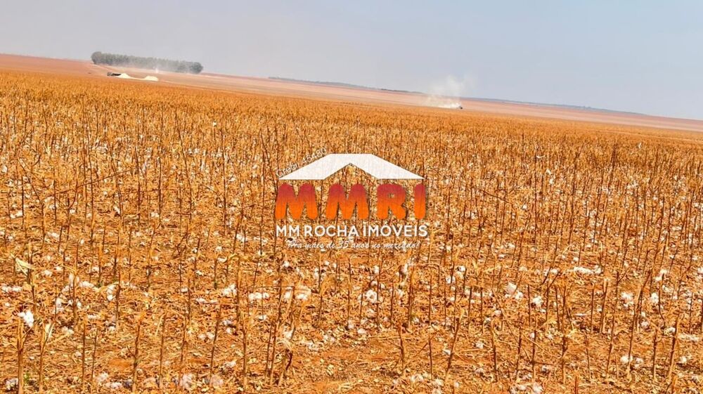 Fazenda, 2 hectares - Foto 35