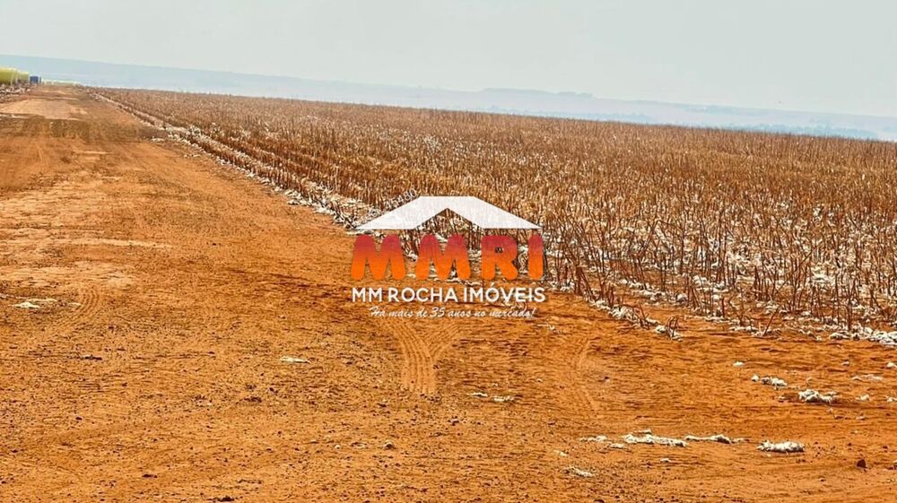 Fazenda, 2 hectares - Foto 16