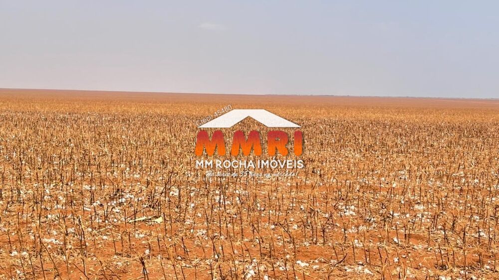 Fazenda, 2 hectares - Foto 32