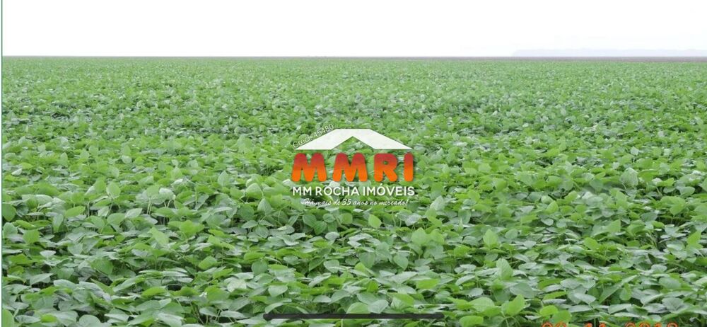 Fazenda, 2 hectares - Foto 39