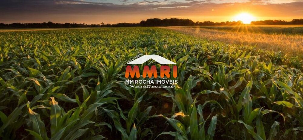 Fazenda, 2 hectares - Foto 41