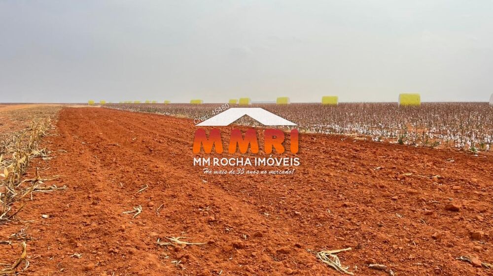 Fazenda, 2 hectares - Foto 15