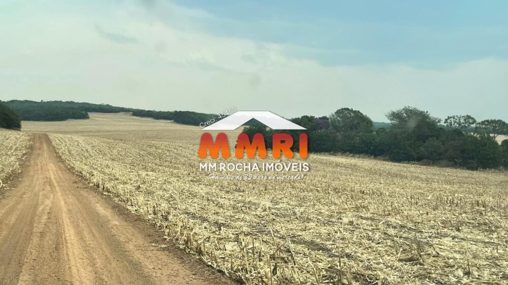 Fazenda, 2 hectares - Foto 24