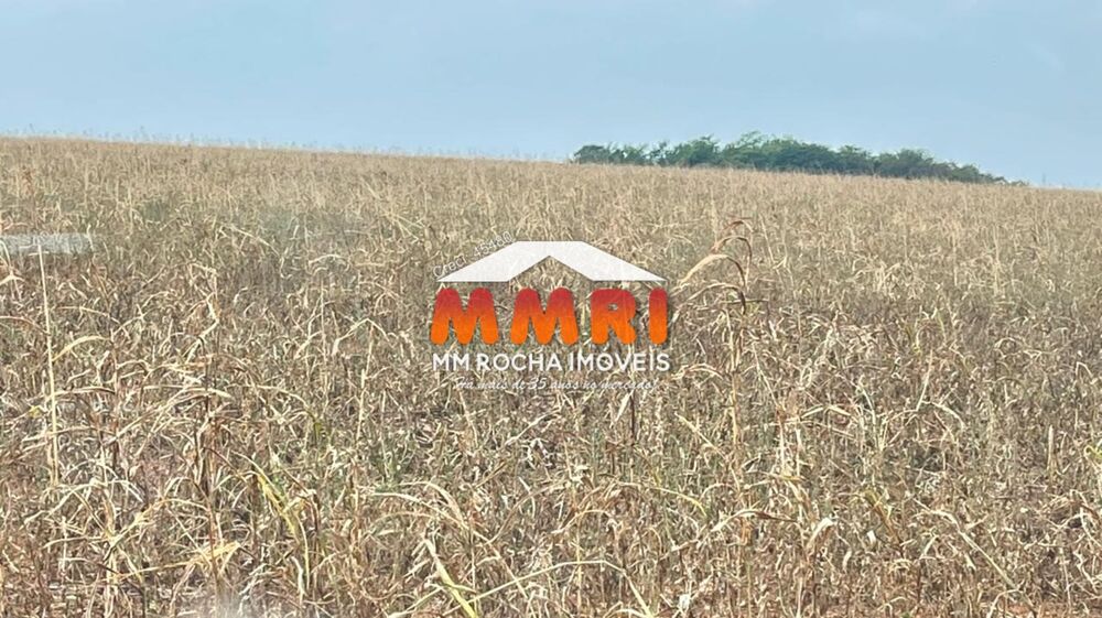 Fazenda, 2 hectares - Foto 1