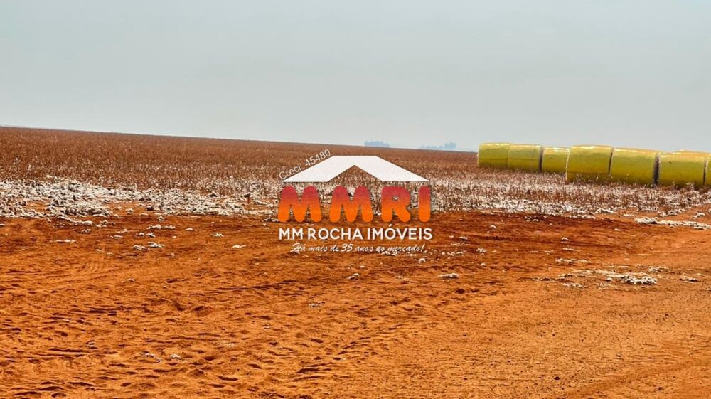 Fazenda, 2 hectares - Foto 12