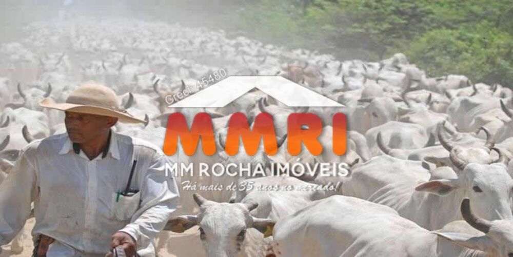 Fazenda, 8 hectares - Foto 1