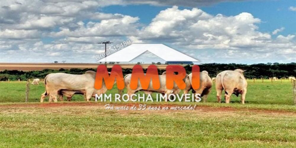 Fazenda, 8 hectares - Foto 4