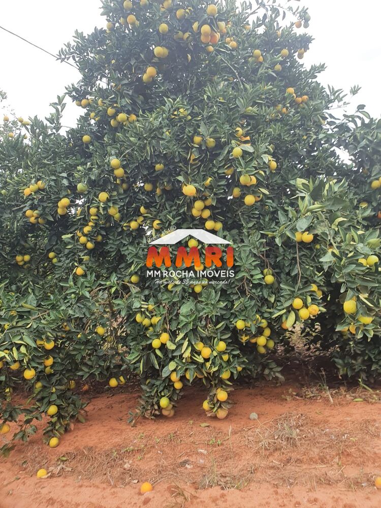 Fazenda, 366 m² - Foto 3