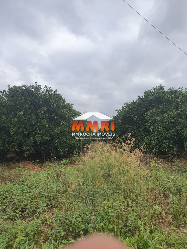 Fazenda, 366 m² - Foto 4