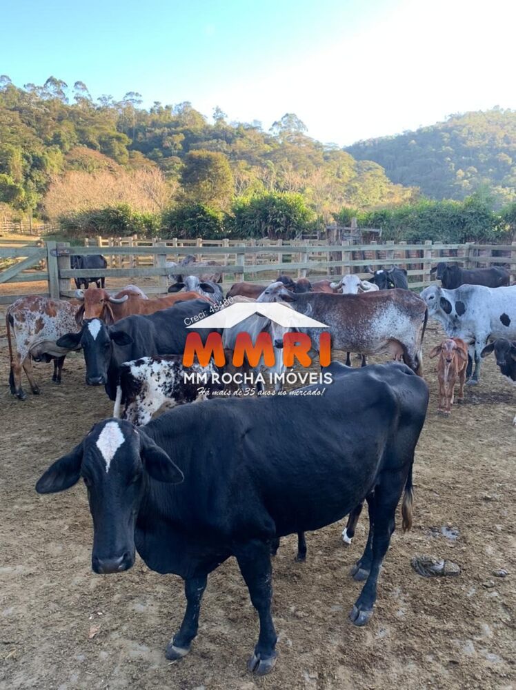 Fazenda, 328 m² - Foto 3