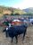 Fazenda, 328 m² - Foto 2