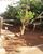 Casa, 2 quartos, 250 m² - Foto 1